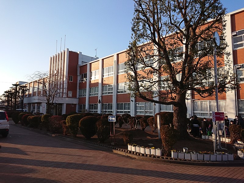 日本体育大学桜華高等学校