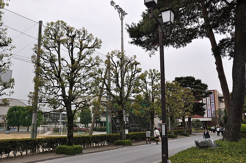 本庄高等学校